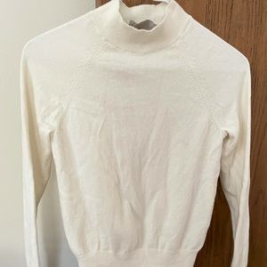 Everlane turtleneck cashmere sweater